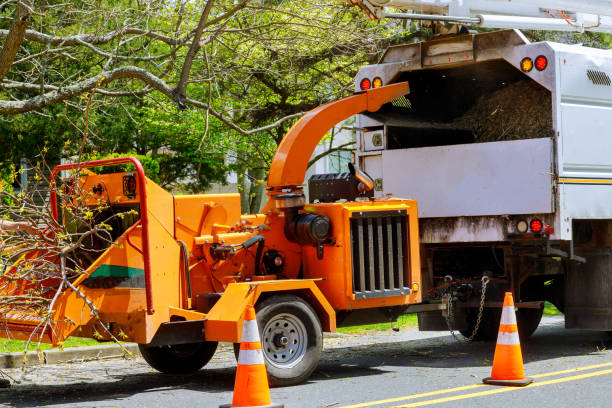 Best Tree Mulching  in Eden Prairie, MN