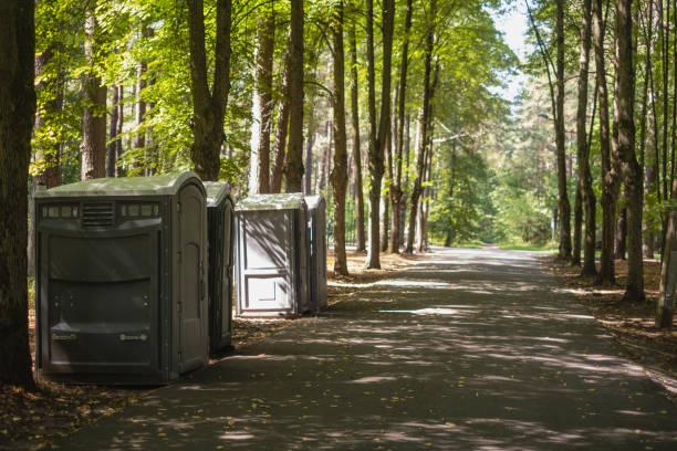 How Our Tree Care Process Works  in  Eden Prairie, MN